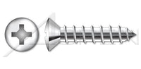 AISI 304 Stainless Steel (18-8) Type "A" Hex Indented Slotted Self-Tapping Sheet Metal Screw