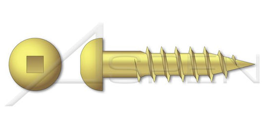 Round Square Drive Brass Wood Screw - Image 1