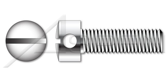 Stainless Steel Slotted Drive Capstan Screw - Image 1