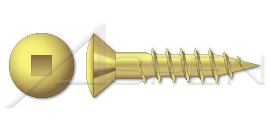 Oval Square Drive Brass Wood Screw - Image 1