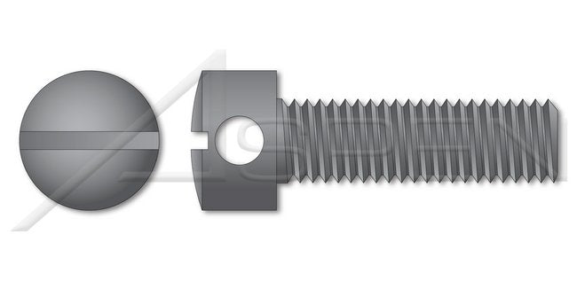Steel Slotted Drive Capstan Screw - Image 1