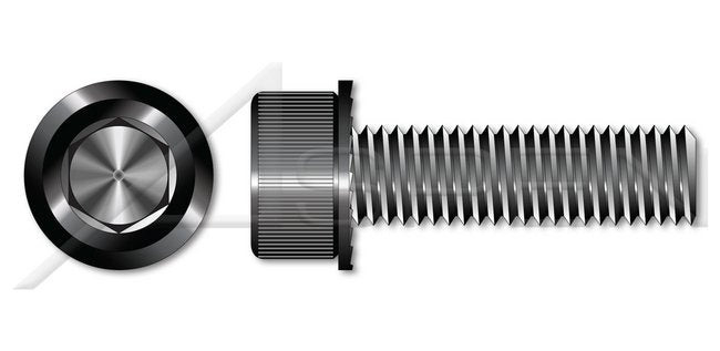 AISI 304 Stainless Steel (18-8) Fillister Slot Drive Machine Screw - Image 1