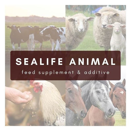 SeaLife™ Kelp Meal for Animals - Organic Vitamin Supplement - Image 1