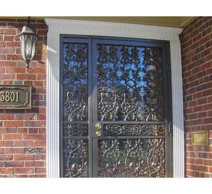 Long®Fence Glass Storm and Security Doors - Image 1