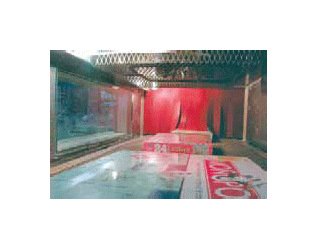 ARPAC VT122272 Shrink Tunnel with Mesh Belt Conveyor - Image 3