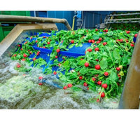 CHT 10% Active Silicone Defoamer