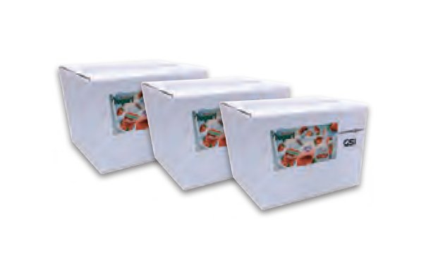High Resolution Single Pass Inkjet Printing System - 360 DPI Vertical Print - Image 3