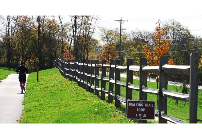 Rustic Split Rail Agricultural Fences by Long®Fence - Image 2
