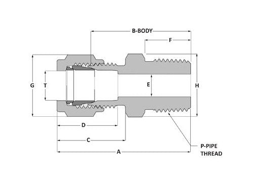 Griplok BSPT Male Connector - 316 SS, 3/8 Tube x 1/4 Male BSPT - Image 2