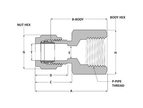 SSP BSPT Female Connector - Griplok, 1/4" Tube x 3/8" Female BSPT, Brass - Image 2