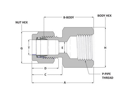 Alloy Steel Cone Point Hex Socket Set Screw 5/16-18 x 1/2 - Plain Finish - Image 2
