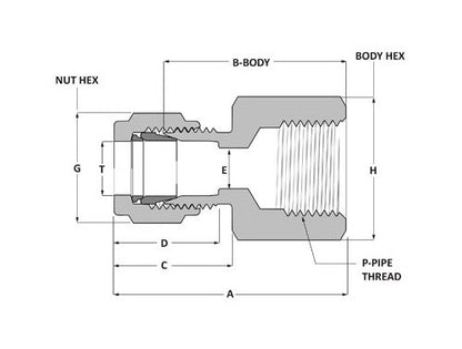 316 SS Griplok BSPT Female Connector - 1/4" Tube x 1/2" Female BSPT - Image 2