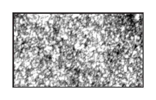 High-Performance ANSI Grade Tungsten Carbide - Image 1
