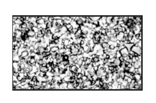 ANSI Grade Tungsten Carbide - Ultra-Met Z15 - Image 1