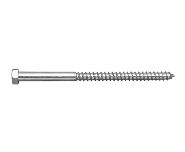 Stainless Steel Lag Screw - Image 1