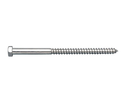 Stainless Steel Lag Screw - Image 1