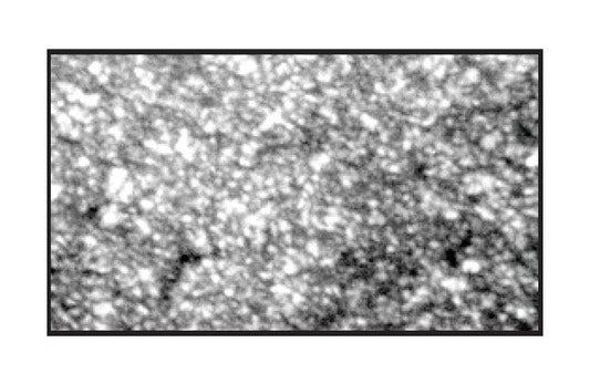 Ultra-Met Tungsten Carbide Grades - C1/K30 - Image 1