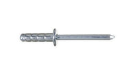 Ornit 4.8mm Steel Dome Head Rivet