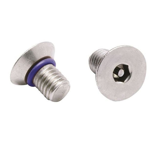Tamperproof Seal Flat Socket Screw 18-8 Stainless Steel M6x25 with Fluorosilicone O-Ring - Image 1