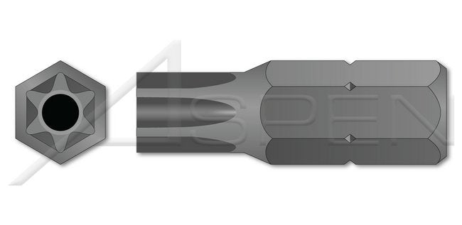 Tamper Resistant 6 Lobe Torx® Pin Drive Screwdriver Insert Bit - Image 1