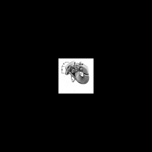 Heavy-Duty Rigid Type Pintle Hook - Image 1