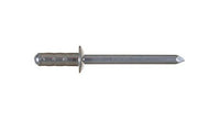 Stainless Steel Dome Head Rivet - 12.7mm Body Length