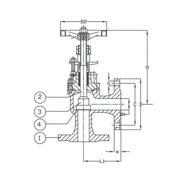 PN 16 DIN Ductile Iron Angle Valve - Image 1