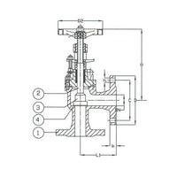 PN 16 DIN Ductile Iron Angle Valve