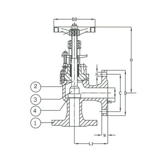 PN 16 DIN Ductile Iron Angle Valve - Image 1