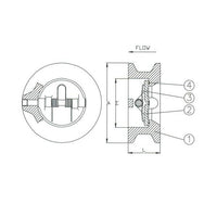 Duo Check Valves, Cast Iron - ANSI Certified