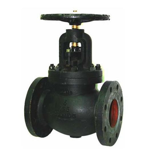 Apollo Model 711F Class 125 Globe Valve - 10 inch, Cast Iron - Image 1