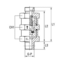 Hydraulic Male Stud Non-Return Valve Thread BSP Taper - Stainless Steel Body