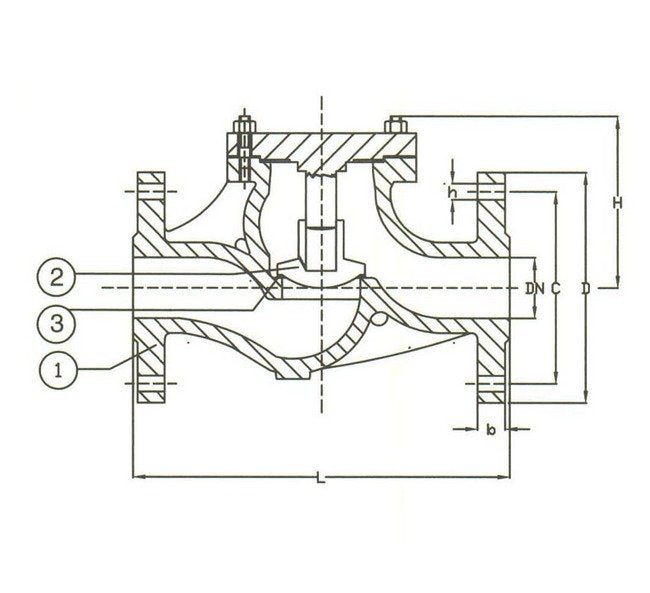 DIN PN 40 Cast Steel Globe Lift Check Valve - Image 2