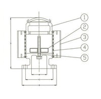 DIN PN 10 Cast Iron Check Valve