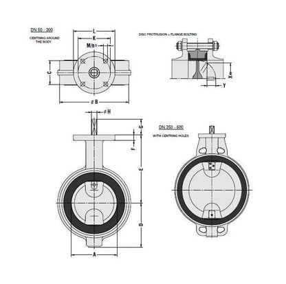 DIN Butterfly Valve Series EVS Gear-Operated, Cast Iron, Wafer Type - Image 2