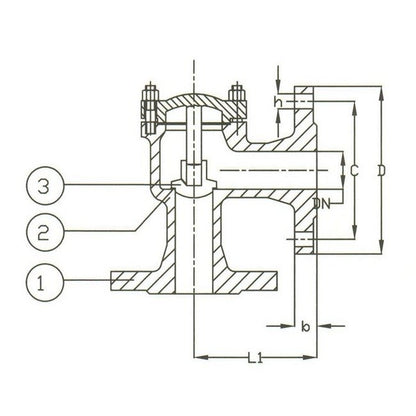 DIN PN 40 Cast Steel Angle Lift Check Valve - Image 2