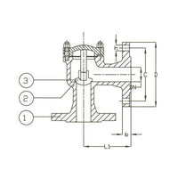 DIN PN 40 Cast Steel Angle Lift Check Valve