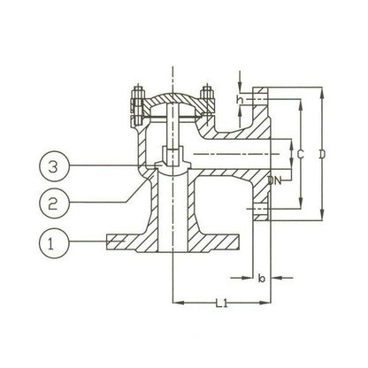 DIN PN 40 Cast Steel Angle Lift Check Valve - Image 1