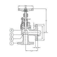 DIN Angle Valve PN40 Cast Steel