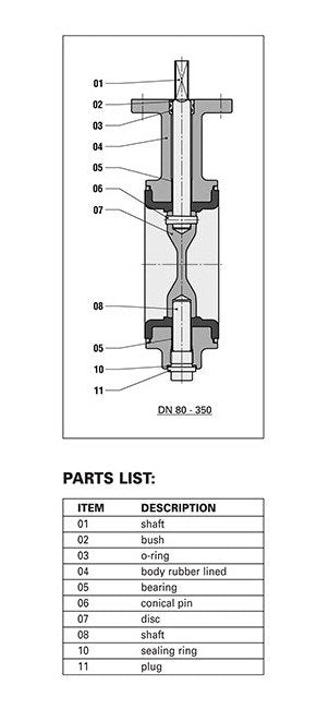 DIN Butterfly Valve DN250 Series EVML Mono Flanged - Image 3