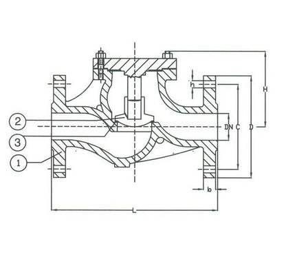 PN 16 Cast Iron Lift Check Globe Pattern Valve - DIN Check Valve - Image 2