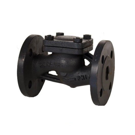PN 16 Cast Iron Lift Check Globe Pattern Valve - DIN Check Valve - Image 1