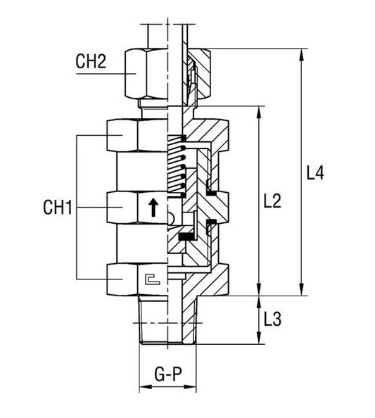 Male Stud Non Return Valve Thread NPT Taper - Equipped B3 Ring, Stainless Steel - Image 1