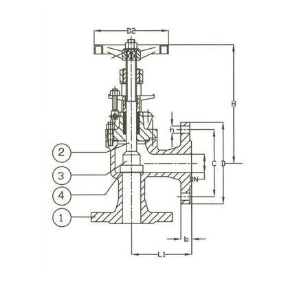 PN 16 Cast Steel Angle Regular Valve - 300 Size - Image 2