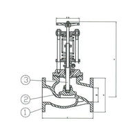 DIN PN16 Cast Steel Spring Loaded Globe Valve