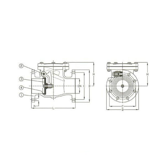 PN 16 Cast Steel Swing Check Valve - DIN 2501 PN16 - Image 1