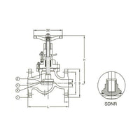 PN 160 Cast Steel Globe SDNR Valve - DIN2501-PN160