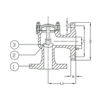 DIN Cast Iron Lift Check Valve, PN 16 Angle Pattern