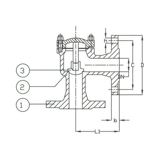 DIN Cast Iron Lift Check Valve, PN 16 Angle Pattern - Image 1