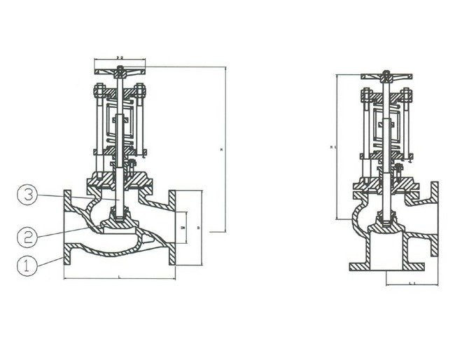 PN 16 Cast Steel Spring-loaded Angle Valve - DIN2501-PN16 Flanged Drilled - Image 2